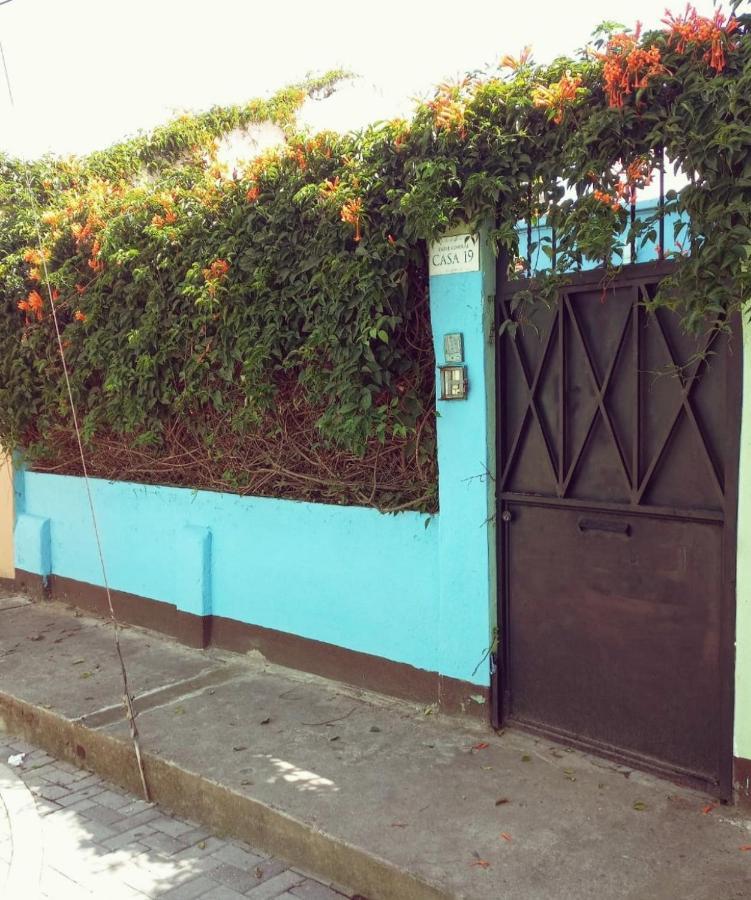 4 Grados Hostel Guatemala City Екстер'єр фото