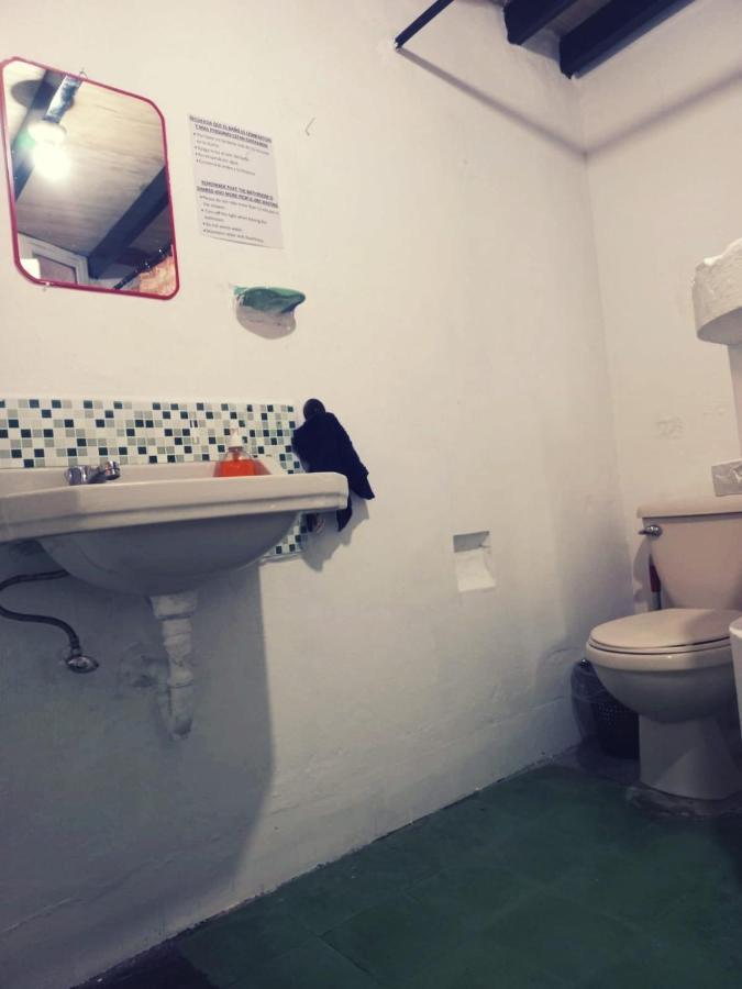 4 Grados Hostel Guatemala City Екстер'єр фото